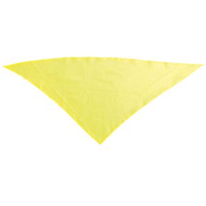 Alternative view of Pañoleta Plus