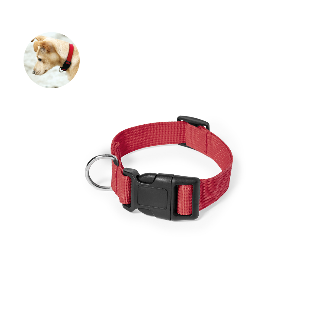 Collar Mastif - Imagen 6