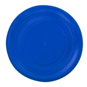 Alternative view of Frisbee Girud