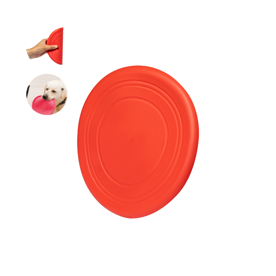 Frisbee Girud - Imagen 5