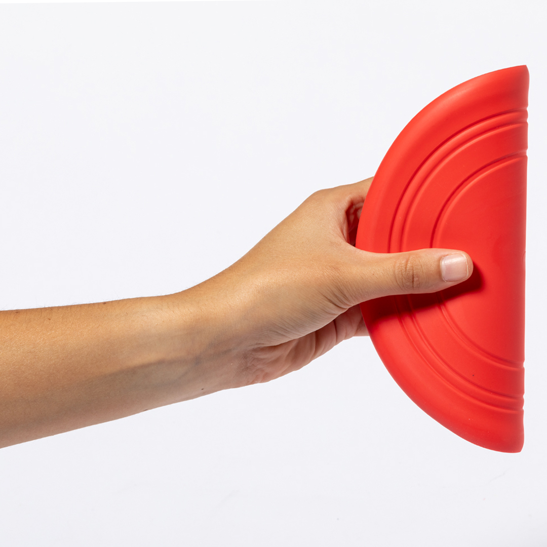 Frisbee Girud - Imagen 7