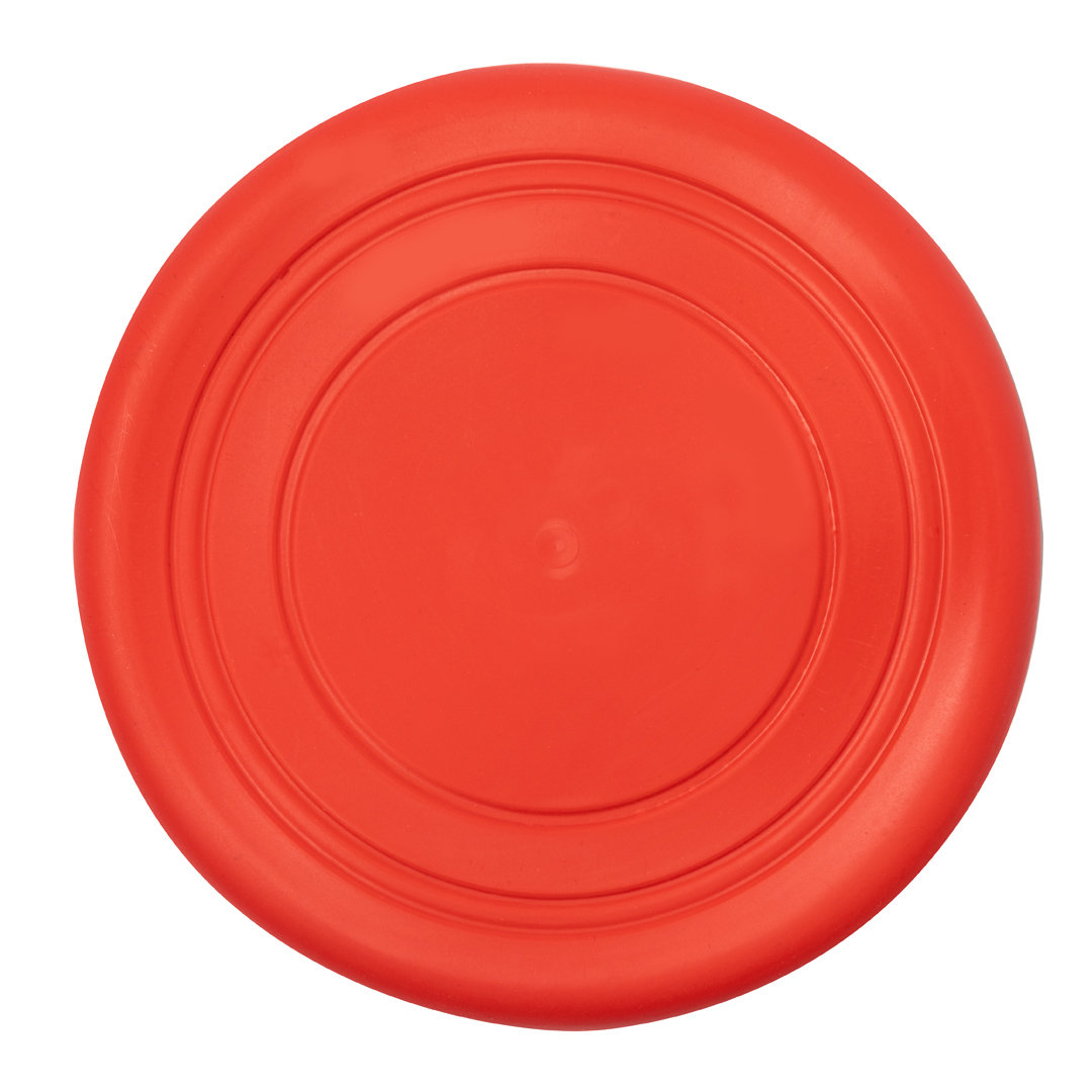 Frisbee Girud - Imagen 8
