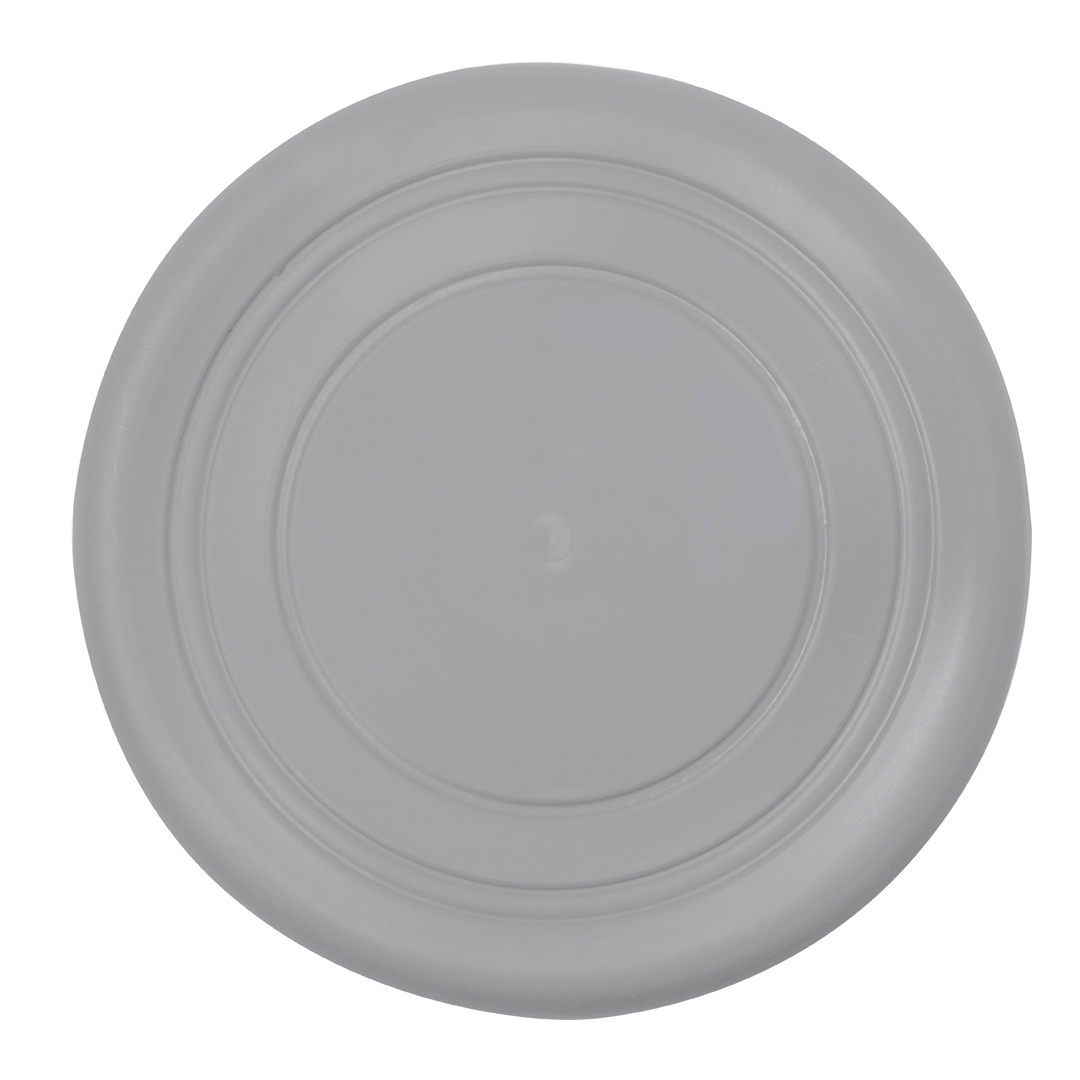 Frisbee Girud - Imagen 10