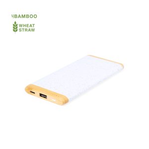 Alternative view of Power Bank Coquin