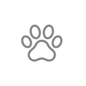 Mascotas